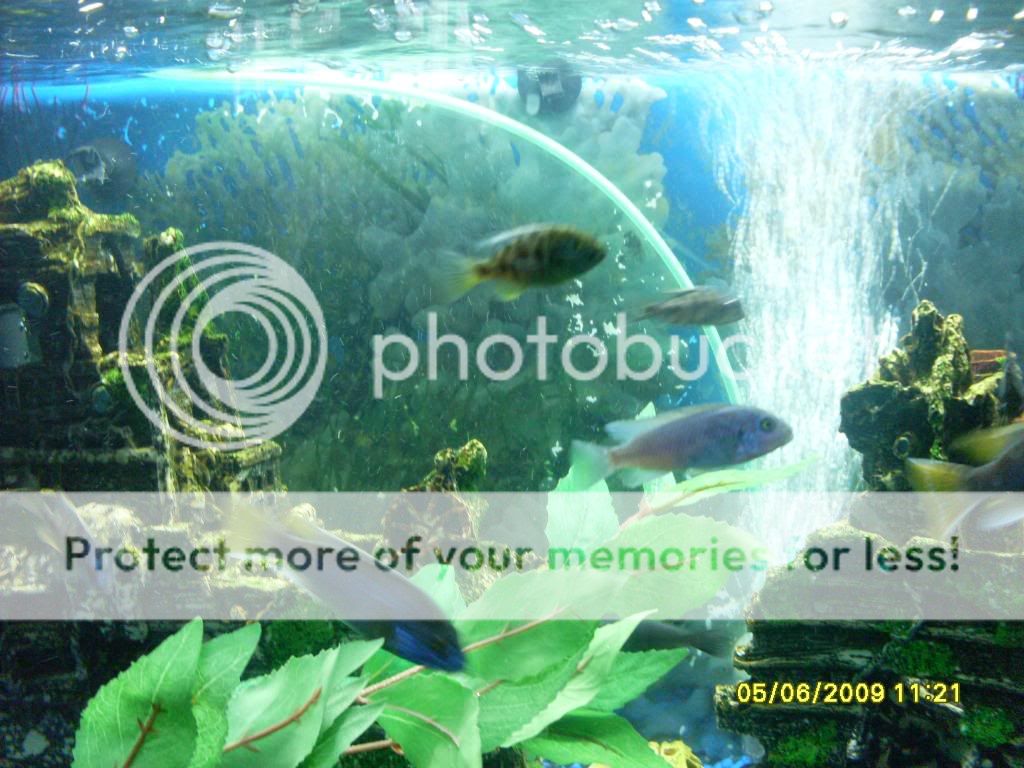 b3fa8f83.jpg