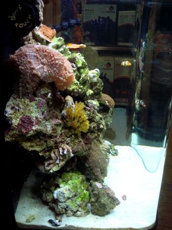 fts3.jpg