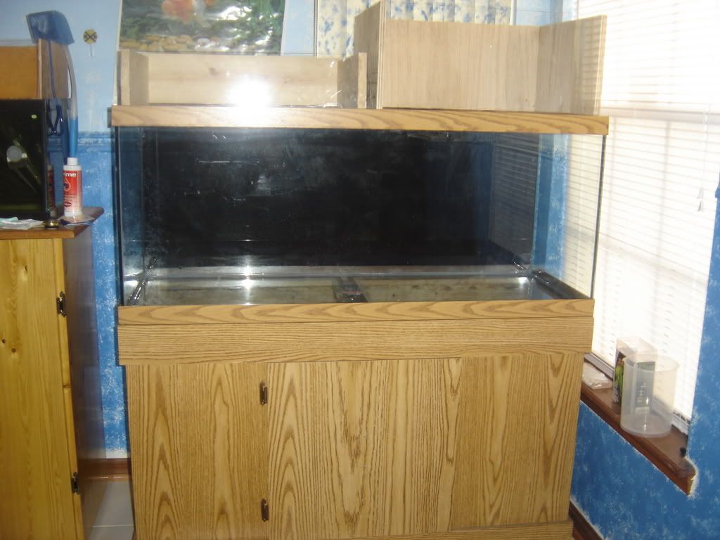 progessof20gallon006.jpg
