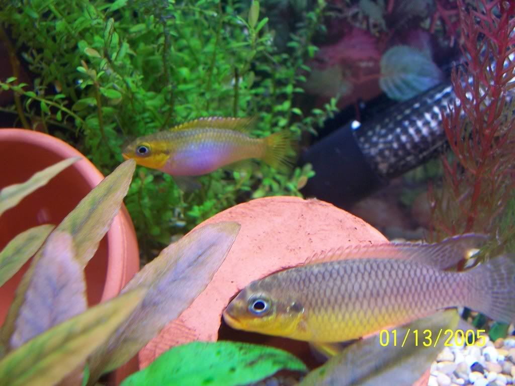 100_3067.jpg