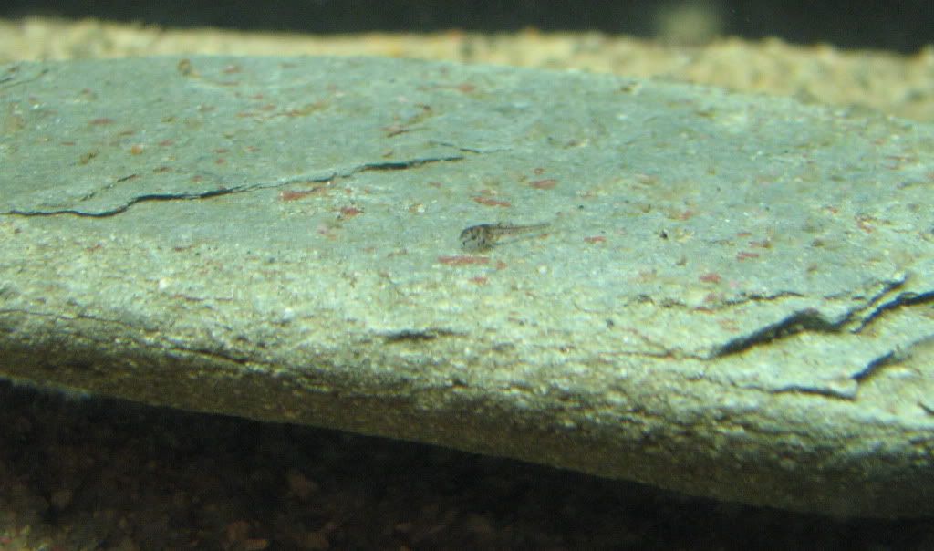 57bd092b.jpg