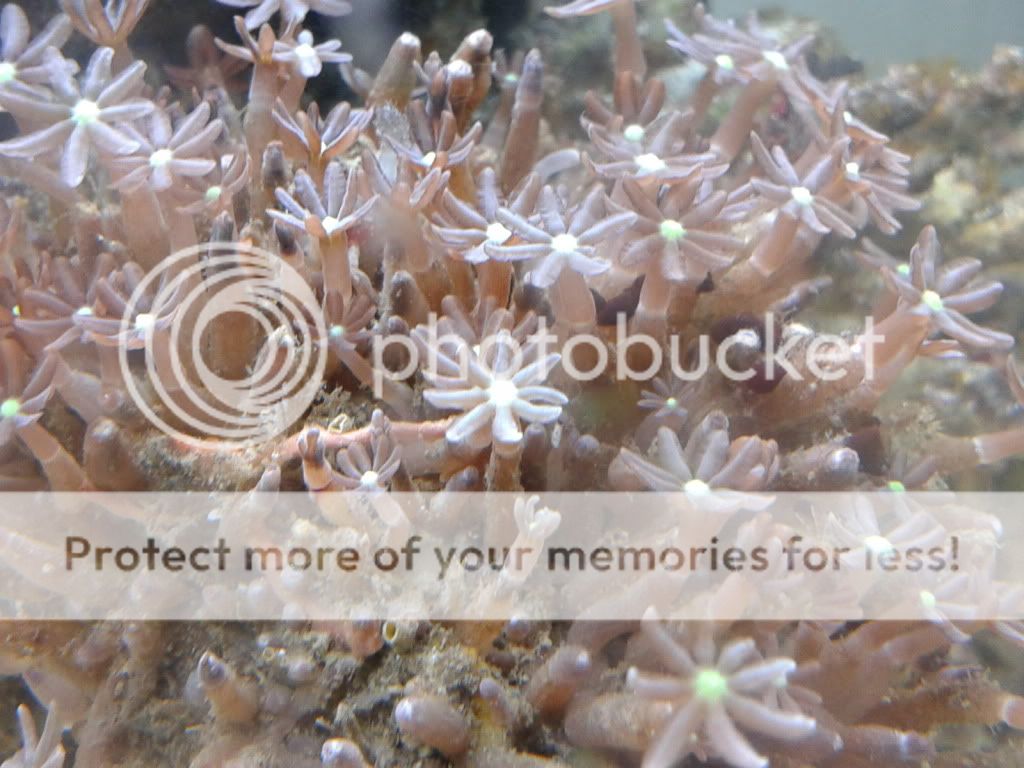2012-07-27155937.jpg