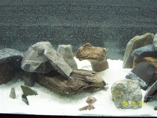 102_3594.jpg