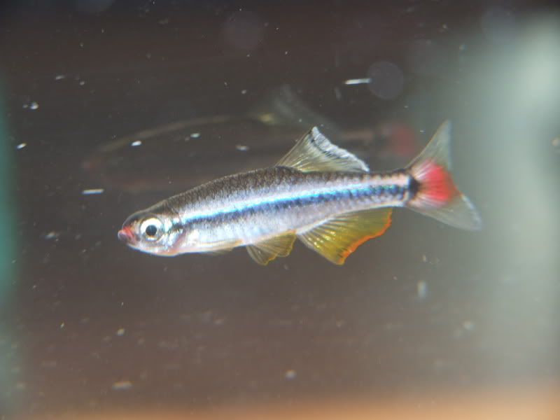 DSCF4282.jpg