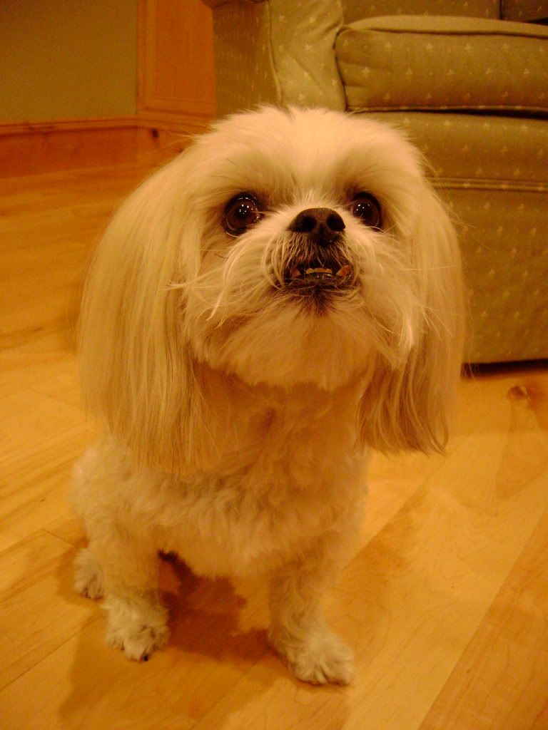 DSC02216.jpg