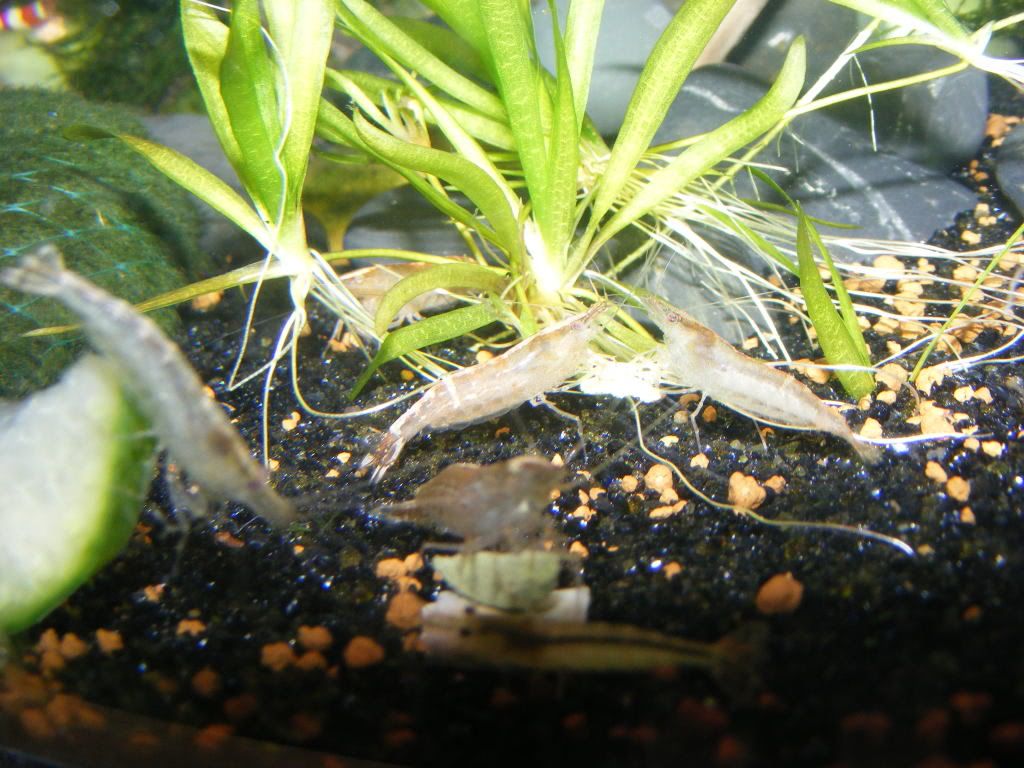 DSCF1123.jpg