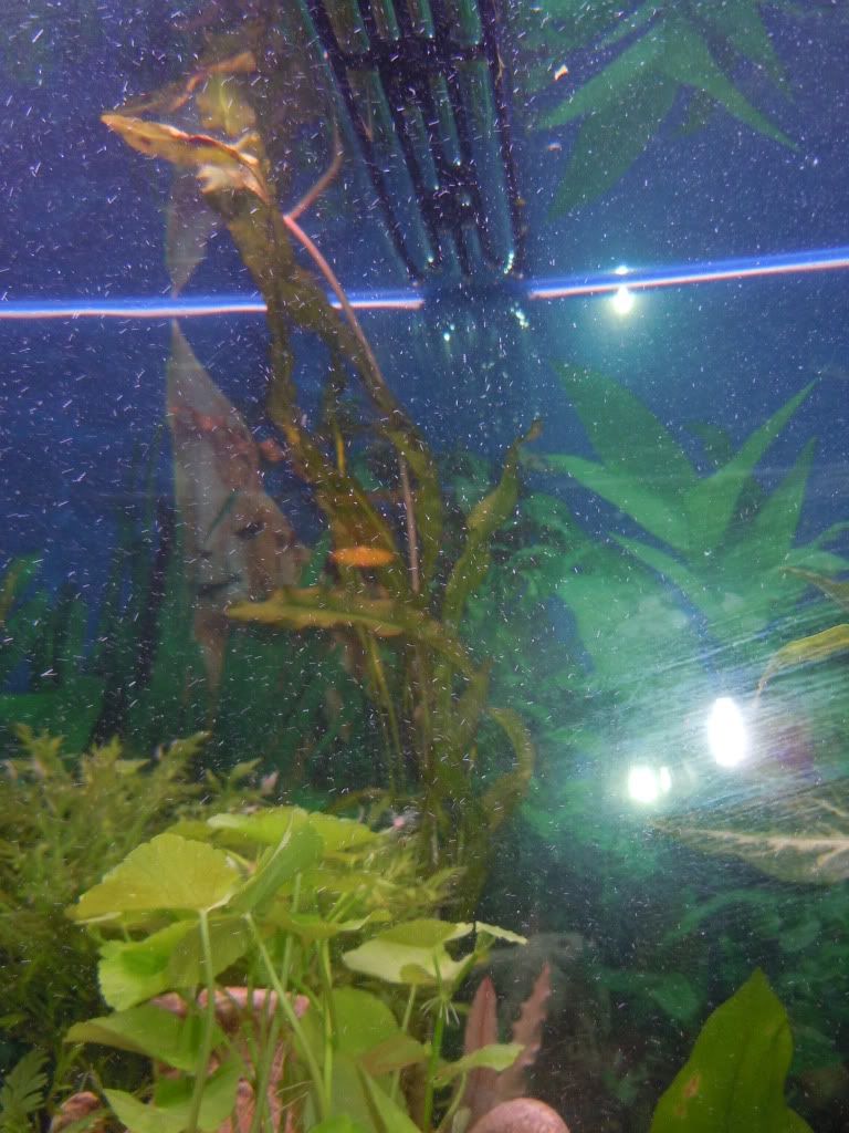 DSCN0671.jpg