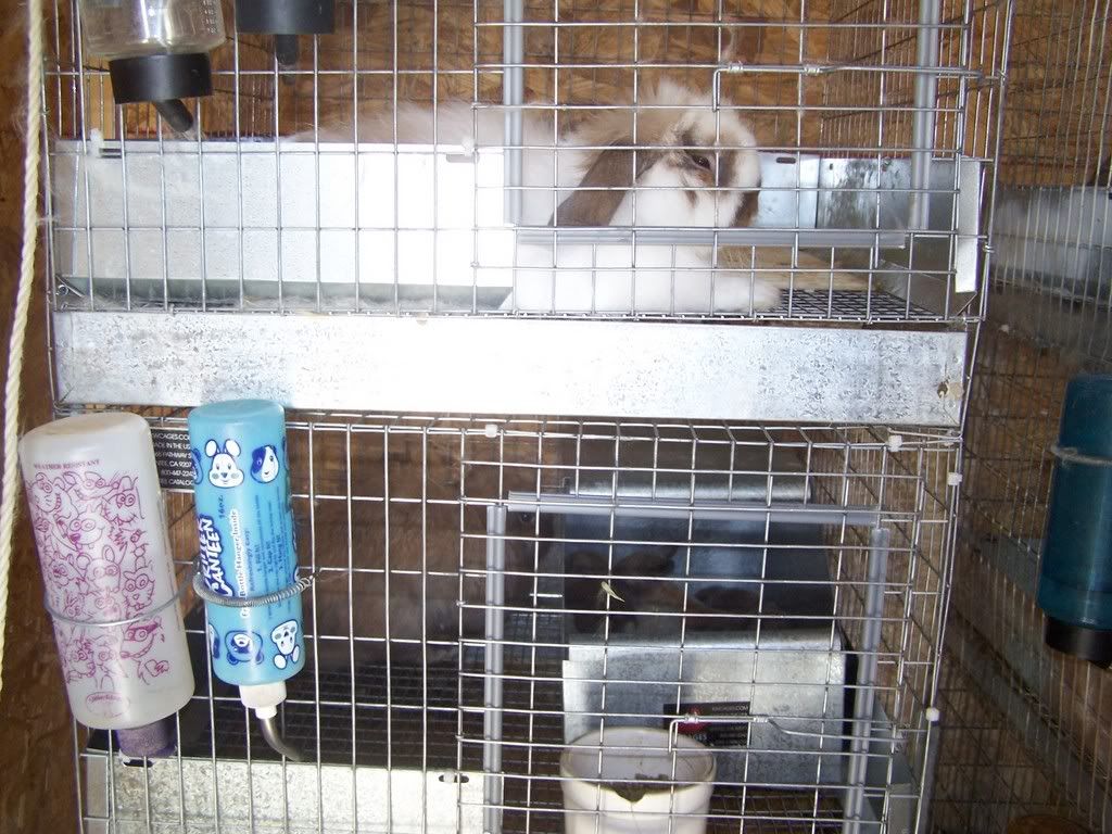 Picture003.jpg