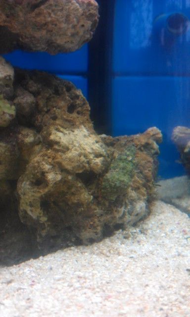 IMAG0936.jpg