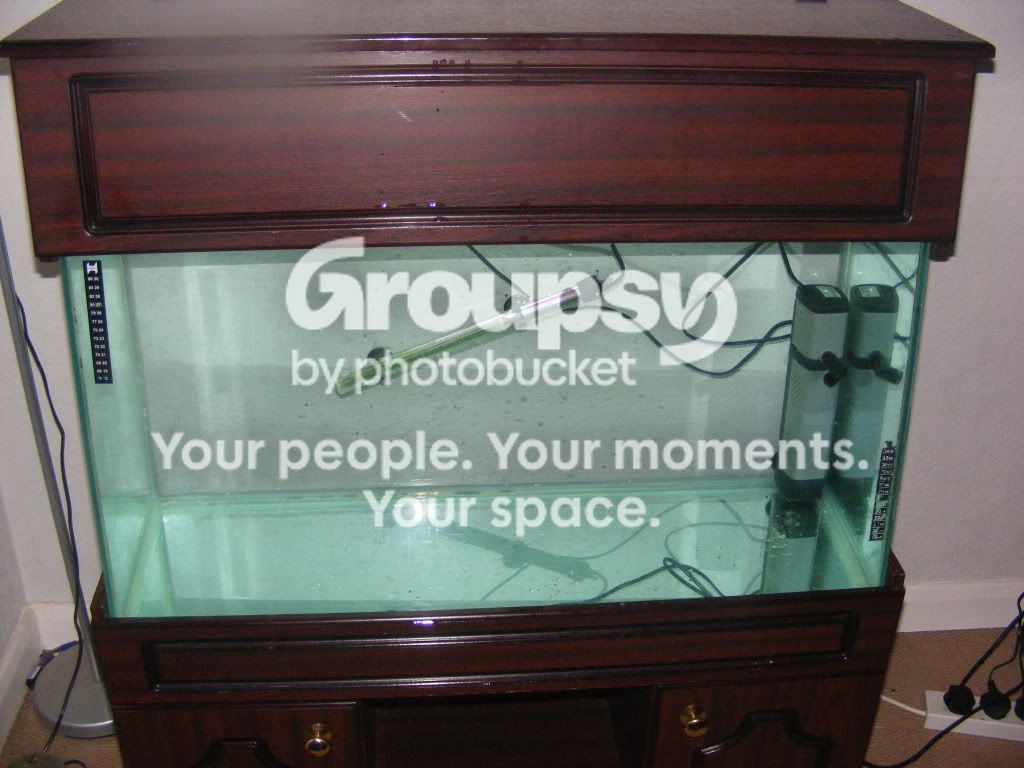 DSCF5515.jpg