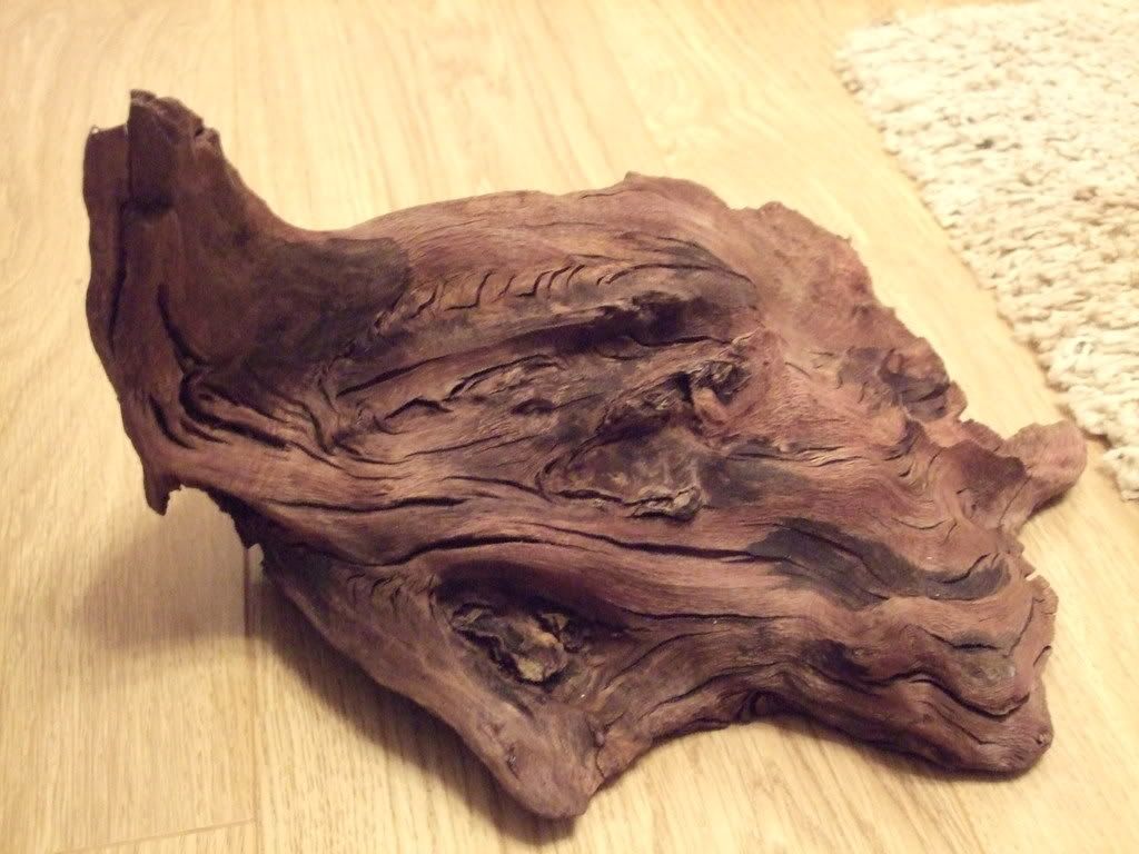 DSCF0847.jpg