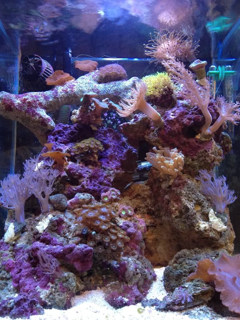IMG_0051.jpg