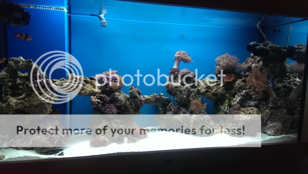 IMAG0908_zps3923db8e.jpg