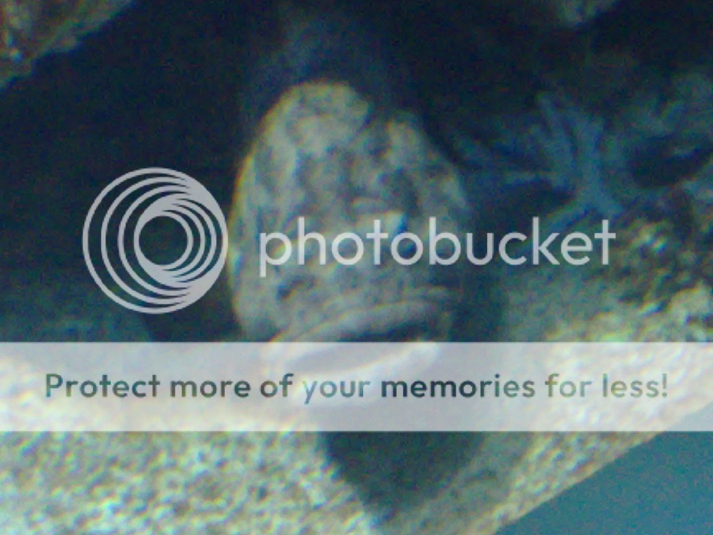 23082008081.jpg