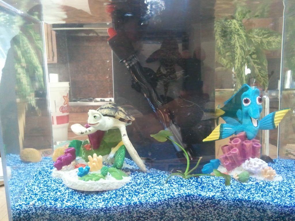 2012-08-07114941.jpg