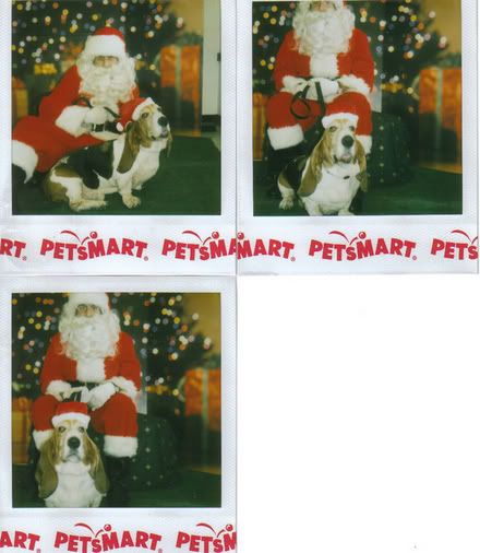 baxterwithsanta.jpg