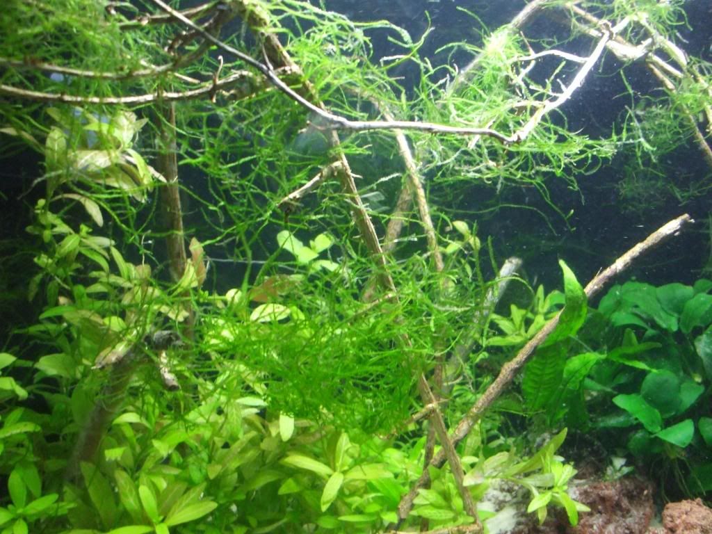 DSCF9586.jpg