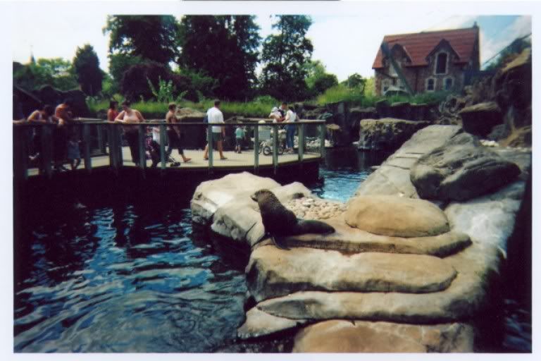 lomo4.jpg