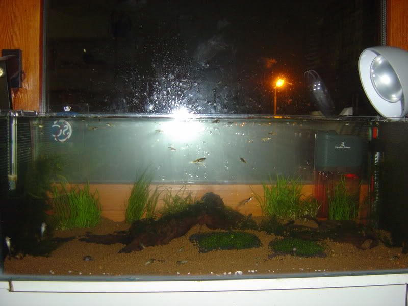 DSC02140.jpg