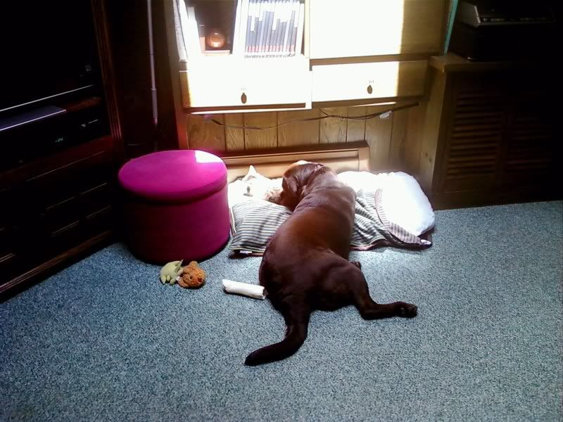 20100609145214.jpg