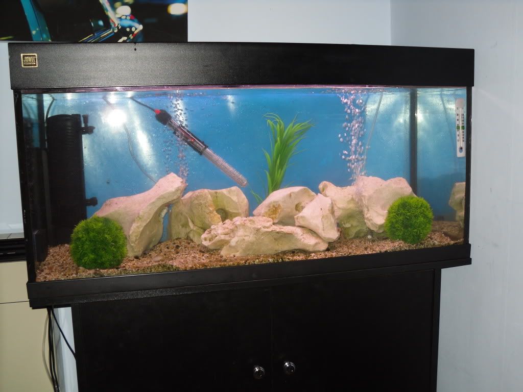 SDC10257.jpg