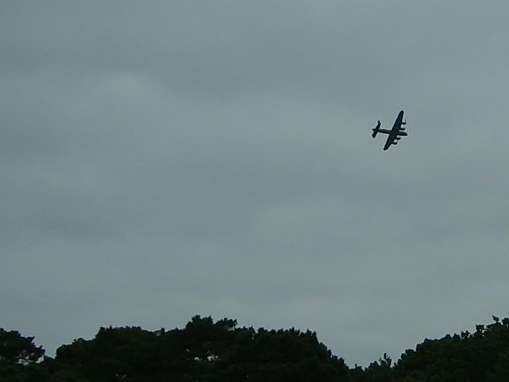 S5006197.jpg