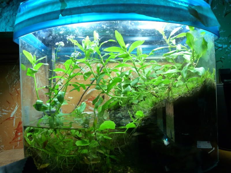 P1090761.jpg