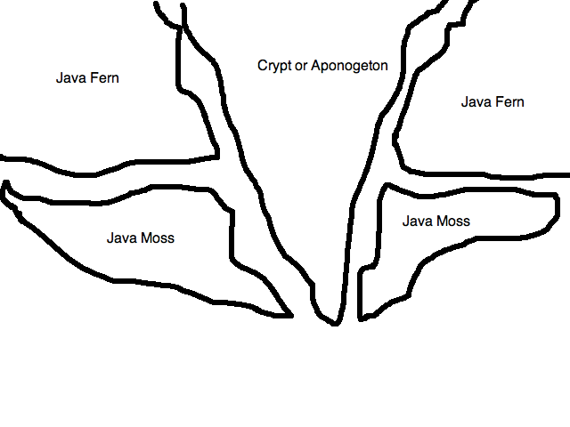 Puffer_layout.png