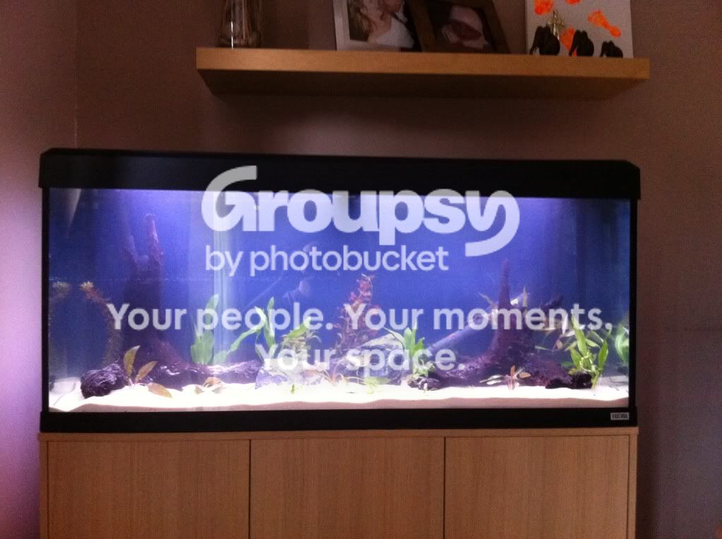 photo-7.jpg