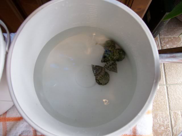 Picture014.jpg