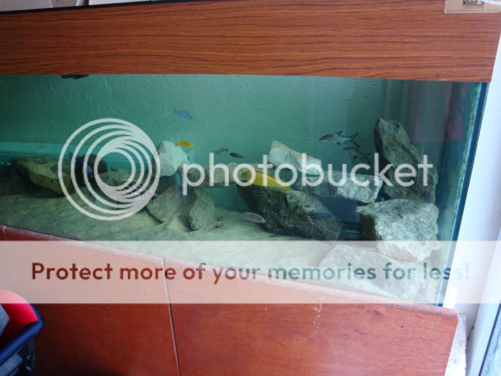 DSC00455.jpg