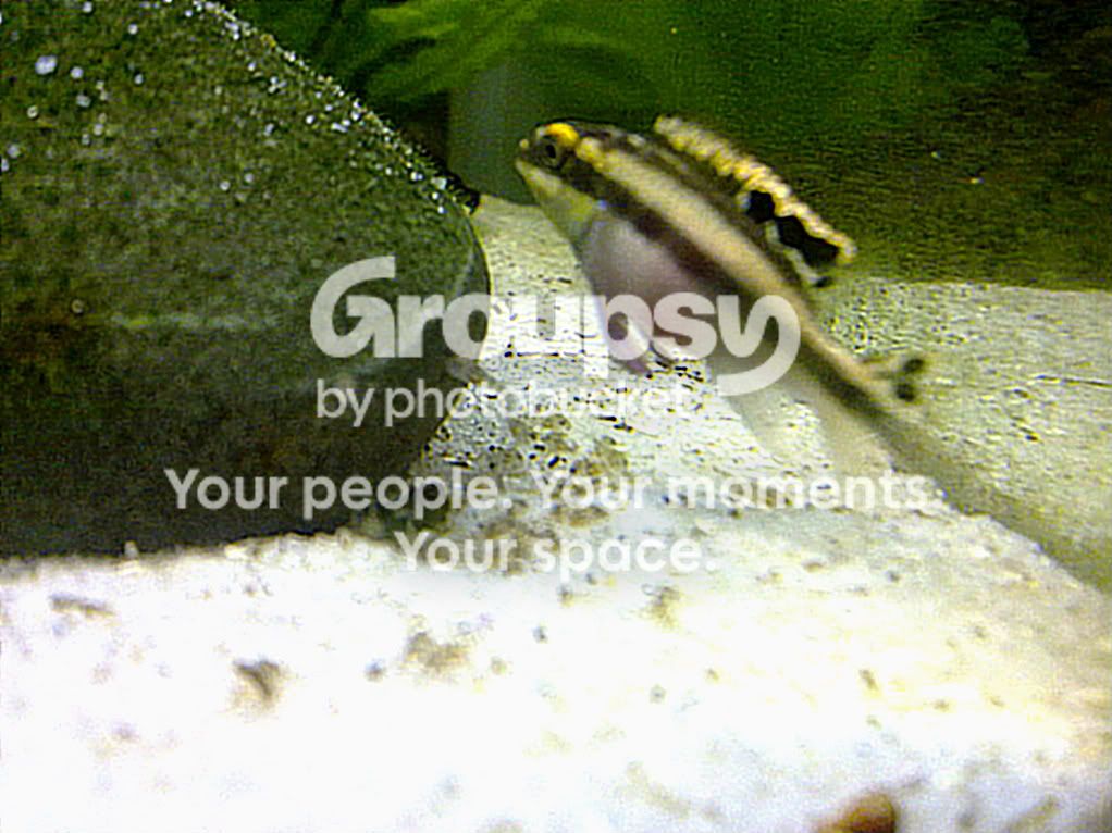 23012012635.jpg