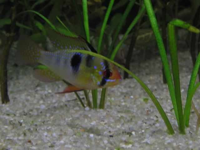 05.jpg