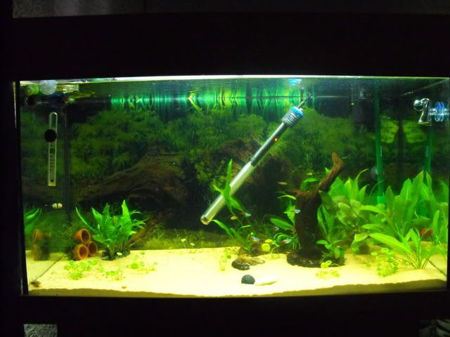 2010_0709NTD0008.jpg