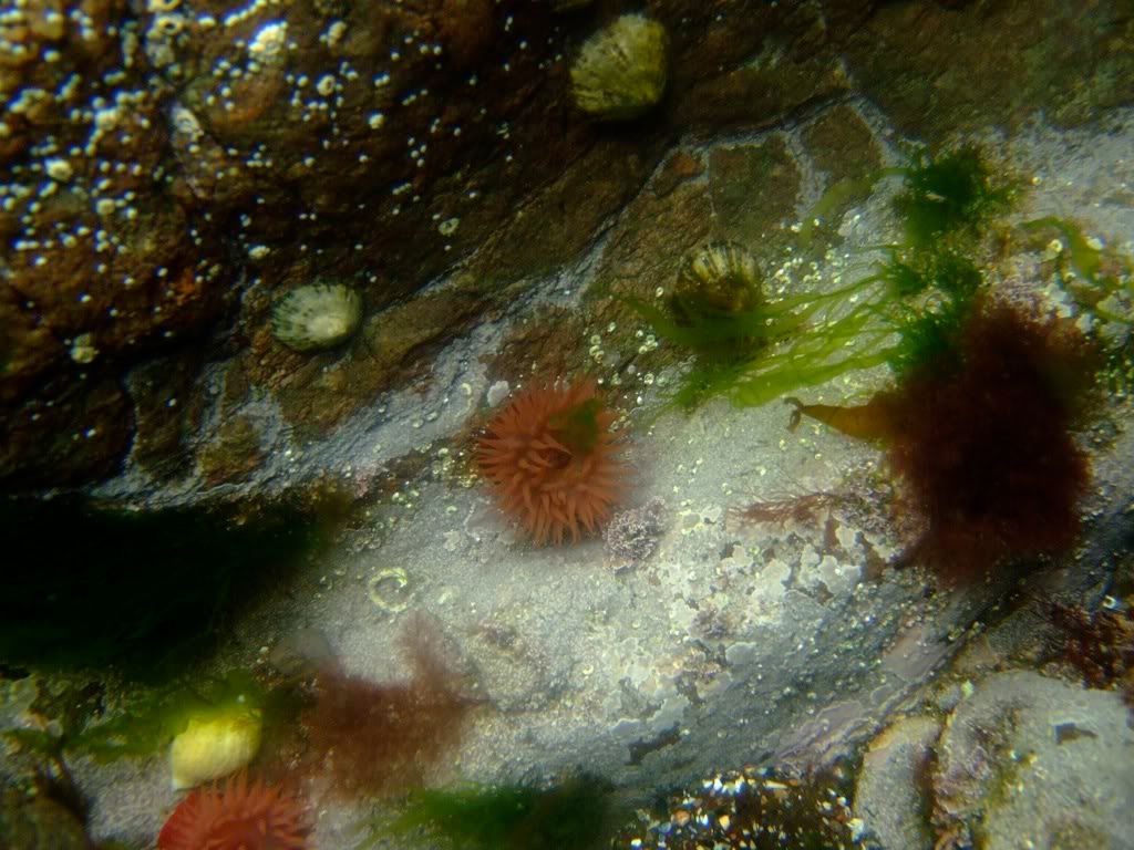 DSCF5739.jpg