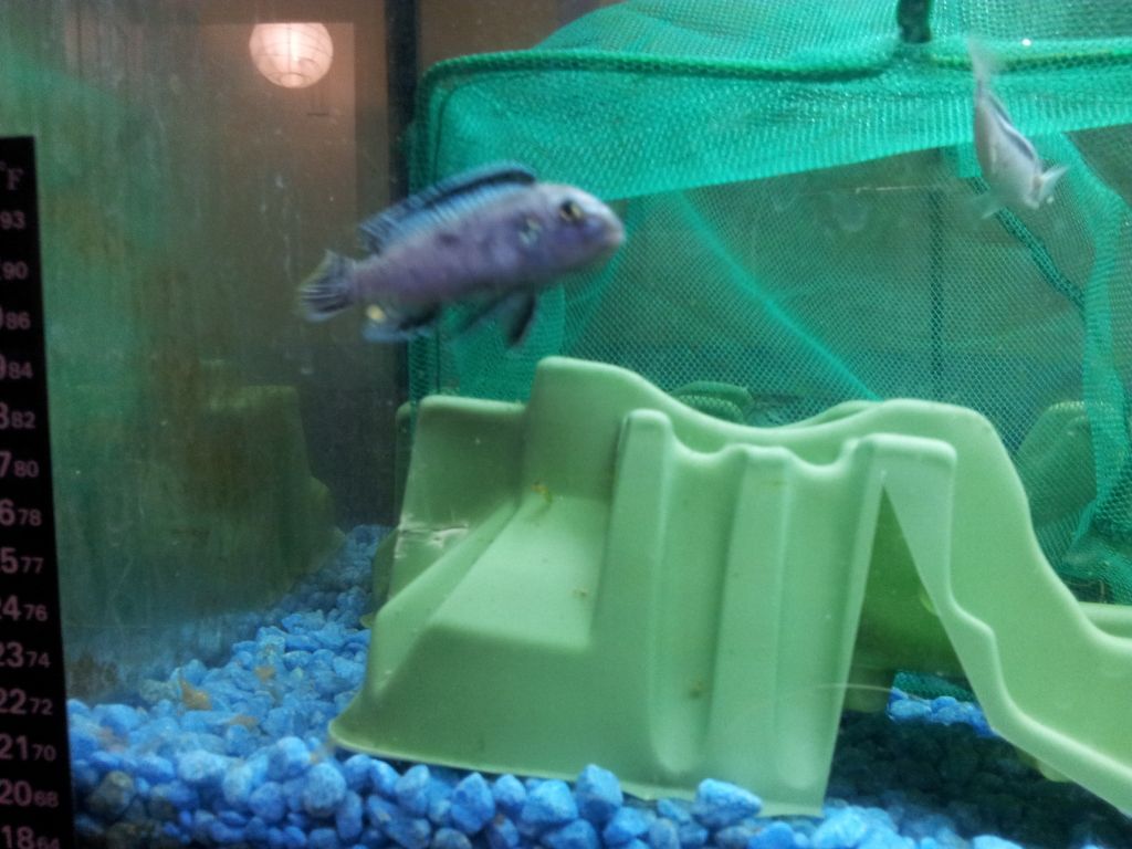 20120708_003902.jpg