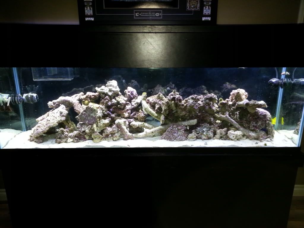 20130402_062523_zps54b51a8a.jpg
