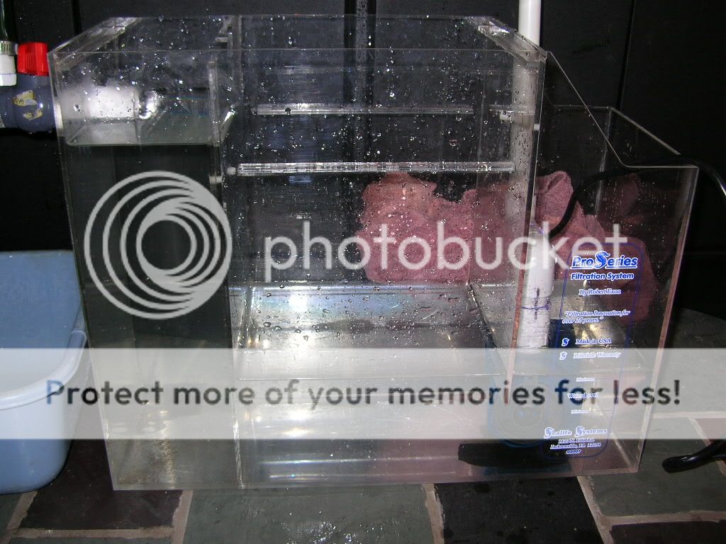 DSCN3623.jpg
