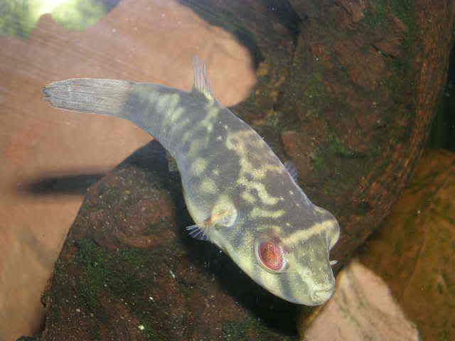 DSCN2708.jpg