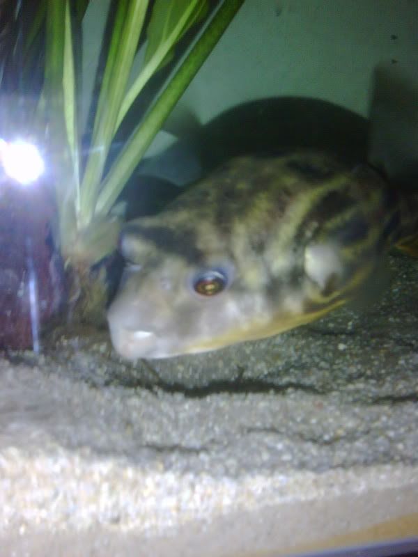 IMG00438.jpg