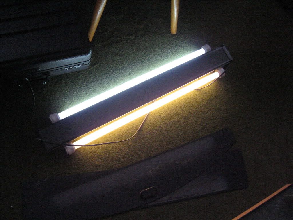 IMG_1835.jpg
