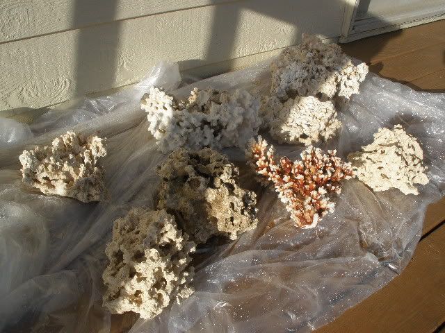 025-2.jpg