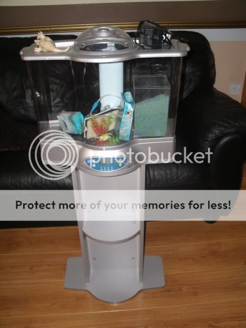EBAY12648.jpg