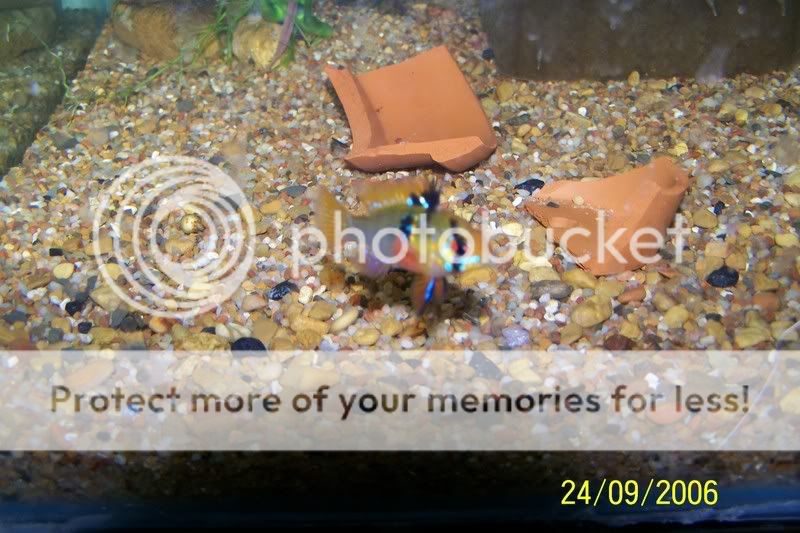 newpics026.jpg