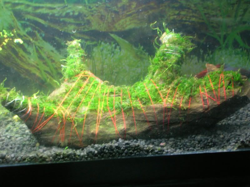 DSCN1844.jpg