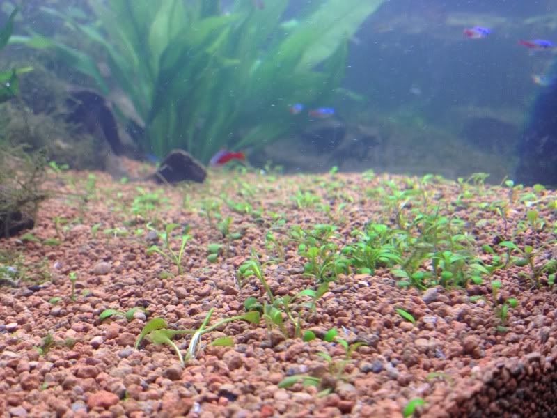 tank053.jpg