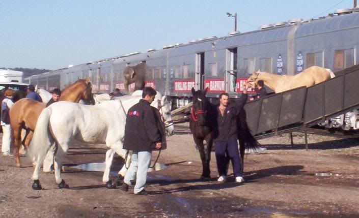 100_3055.jpg