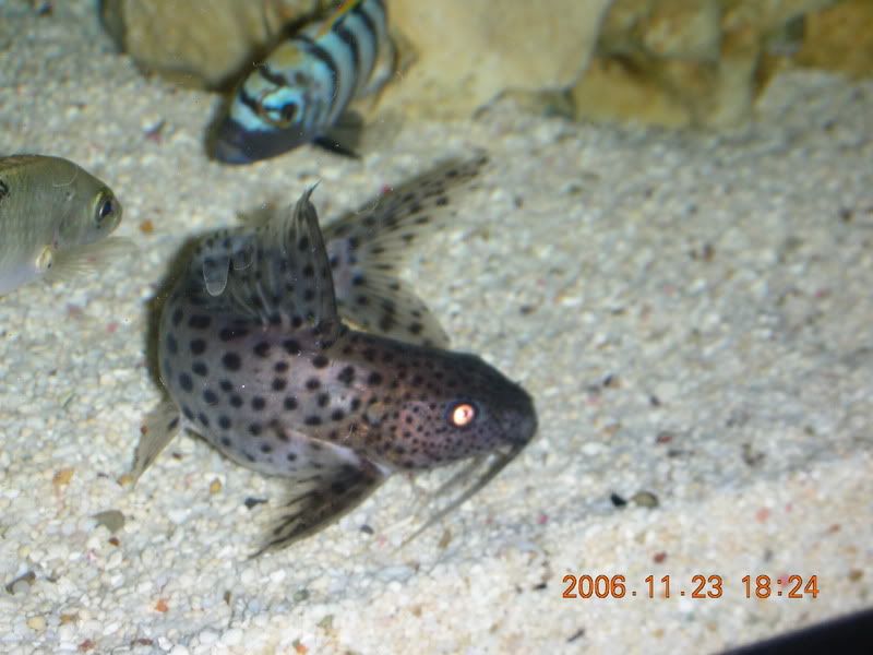 DSCN1392.jpg