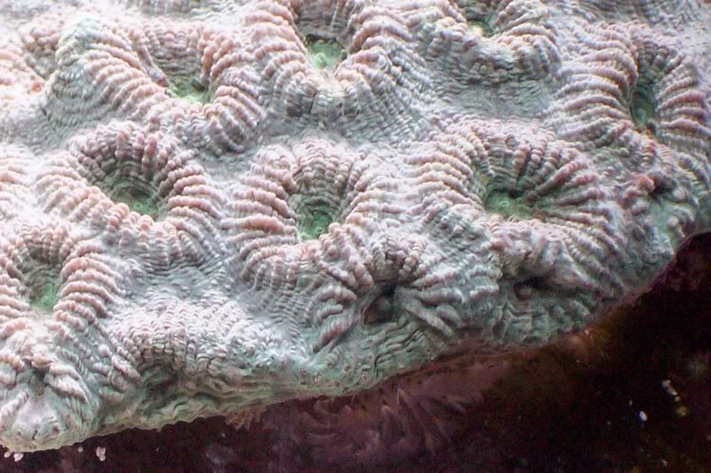 aquarium148.jpg