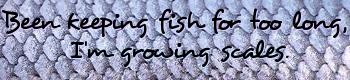 banner.png